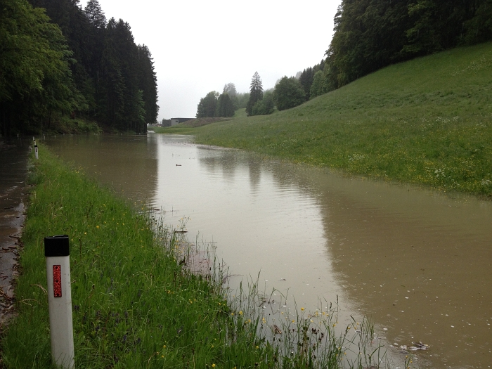bild (20)